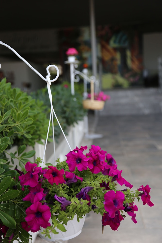 bandb yuzbasi beach hotel