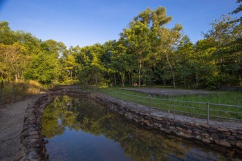 thanh tan hot springs by fusion
