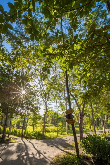 thanh tan hot springs by fusion