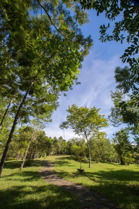 thanh tan hot springs by fusion