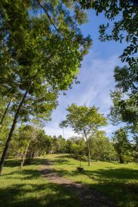 thanh tan hot springs by fusion