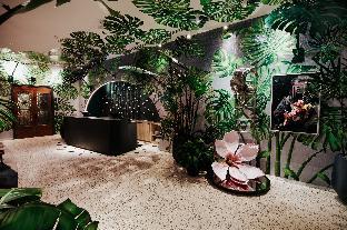 ovolo the valley brisbane