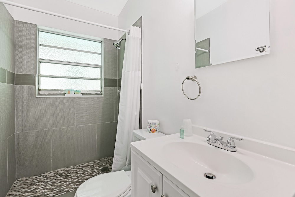 hollywood beach seagull