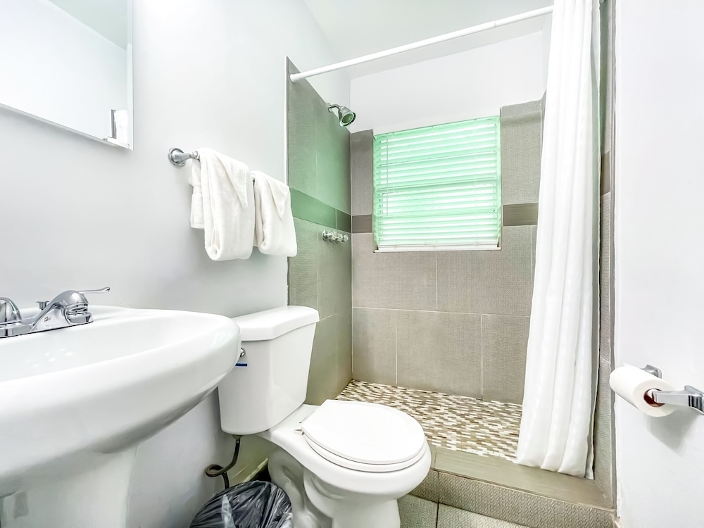 hollywood beach seagull