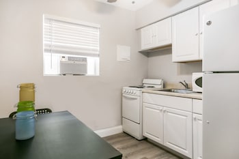 hollywood beach seagull