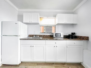 hollywood beach seagull