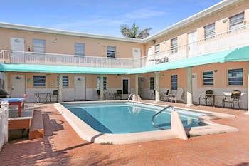 hollywood beach seagull