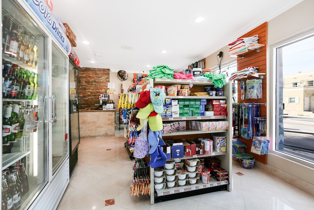 hollywood beach seagull