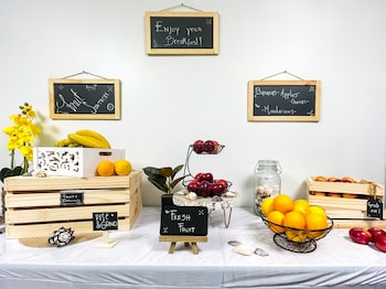 hollywood beach seagull