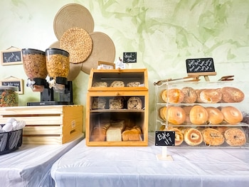 hollywood beach seagull