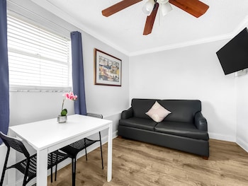 hollywood beach seagull