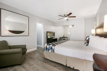 hollywood beach seagull