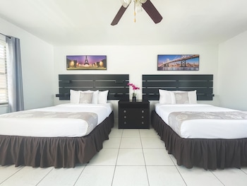 hollywood beach seagull