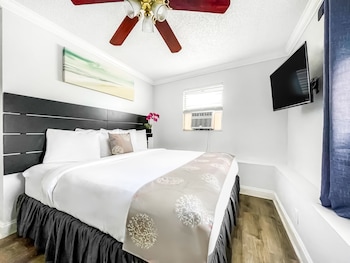 hollywood beach seagull