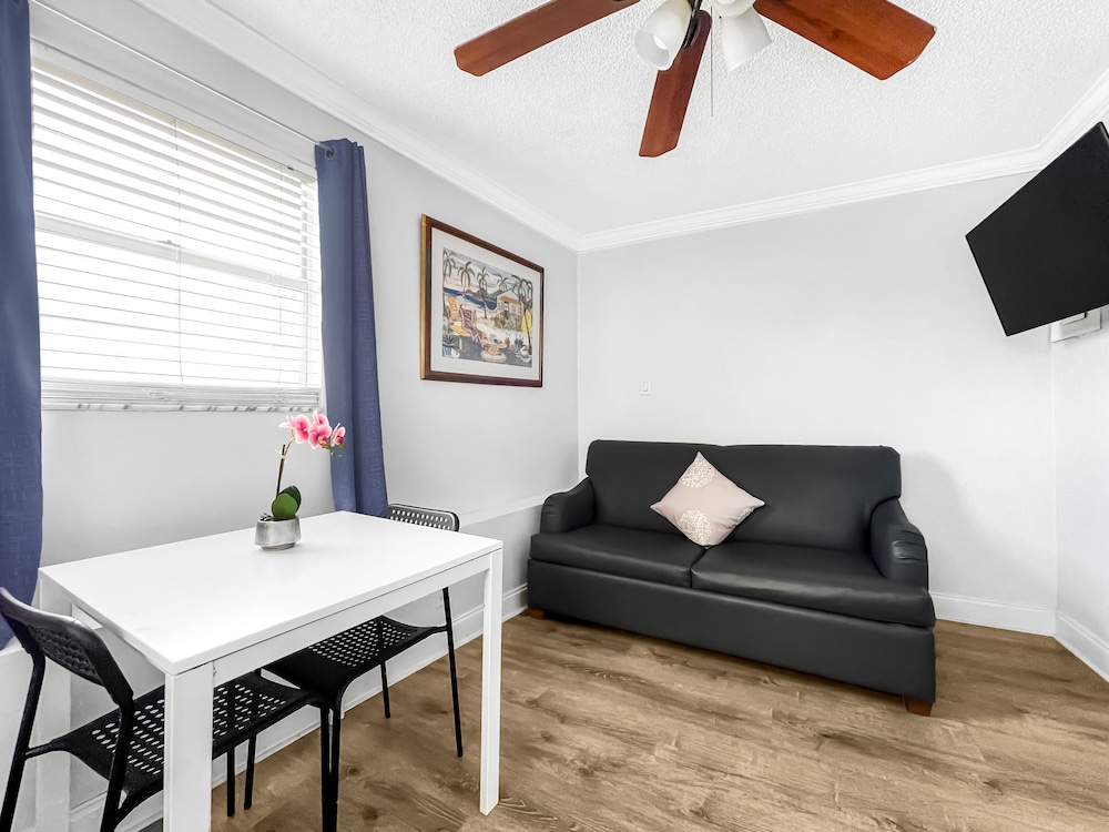 hollywood beach seagull