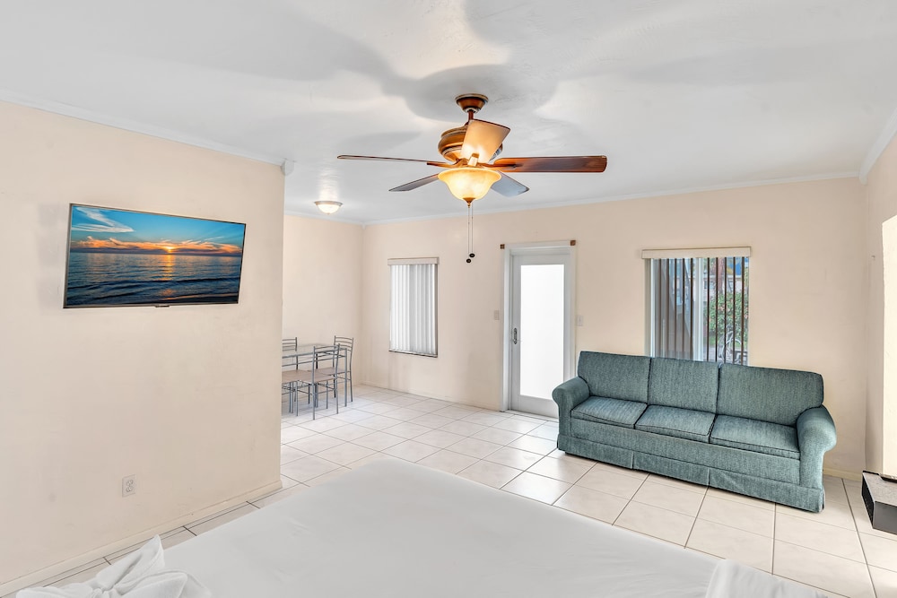 hollywood beach seagull