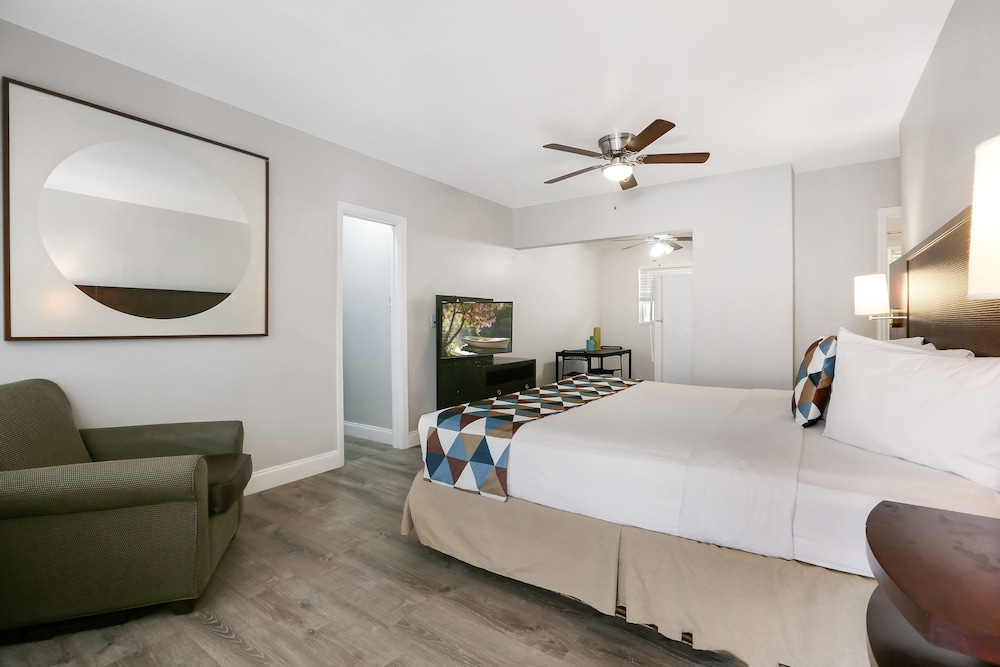 hollywood beach seagull