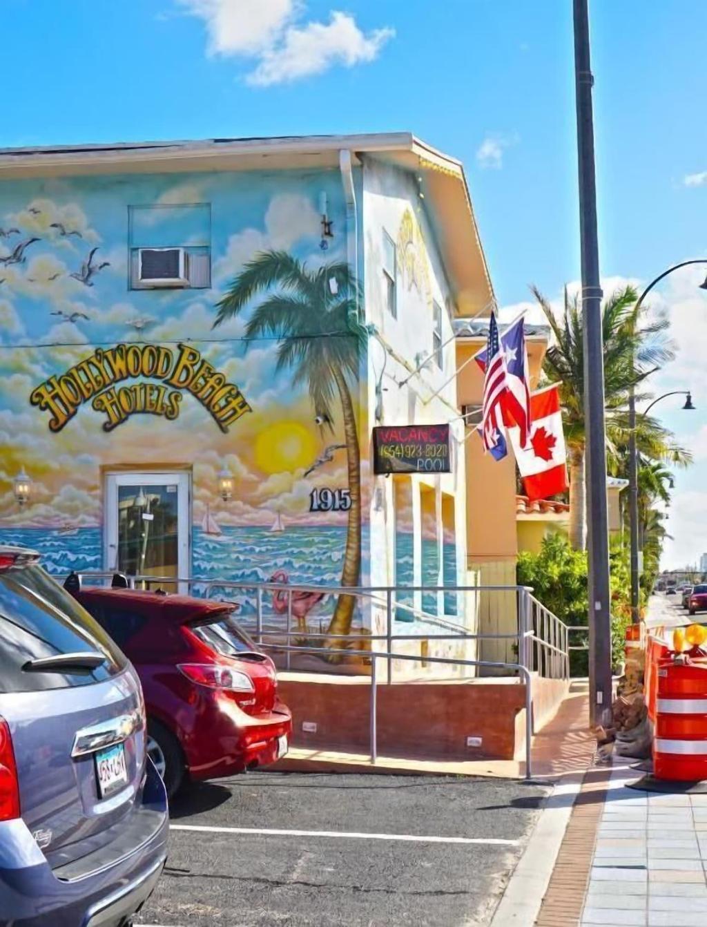 hollywood beach seagull
