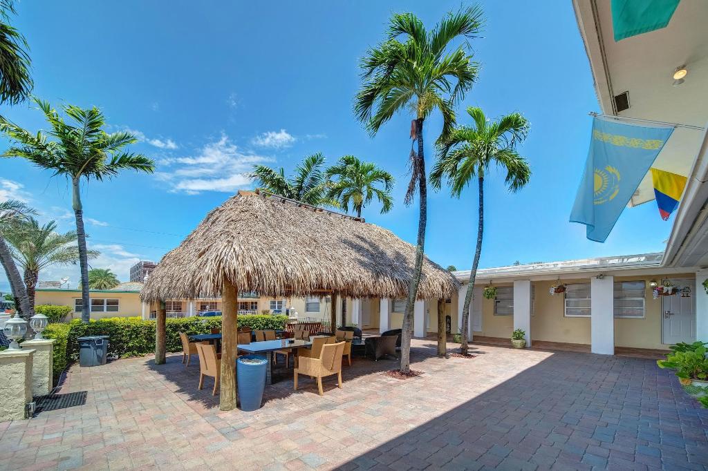 hollywood beach seagull