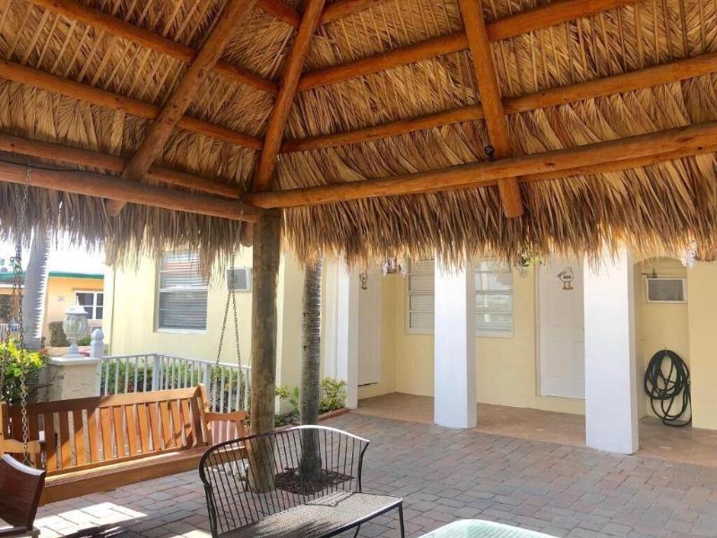 hollywood beach seagull