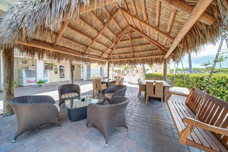 hollywood beach seagull