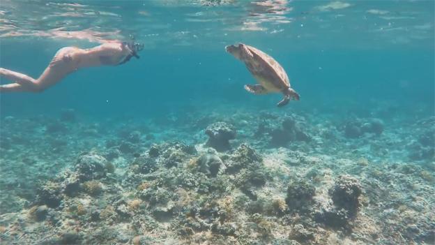 seri resort gili meno