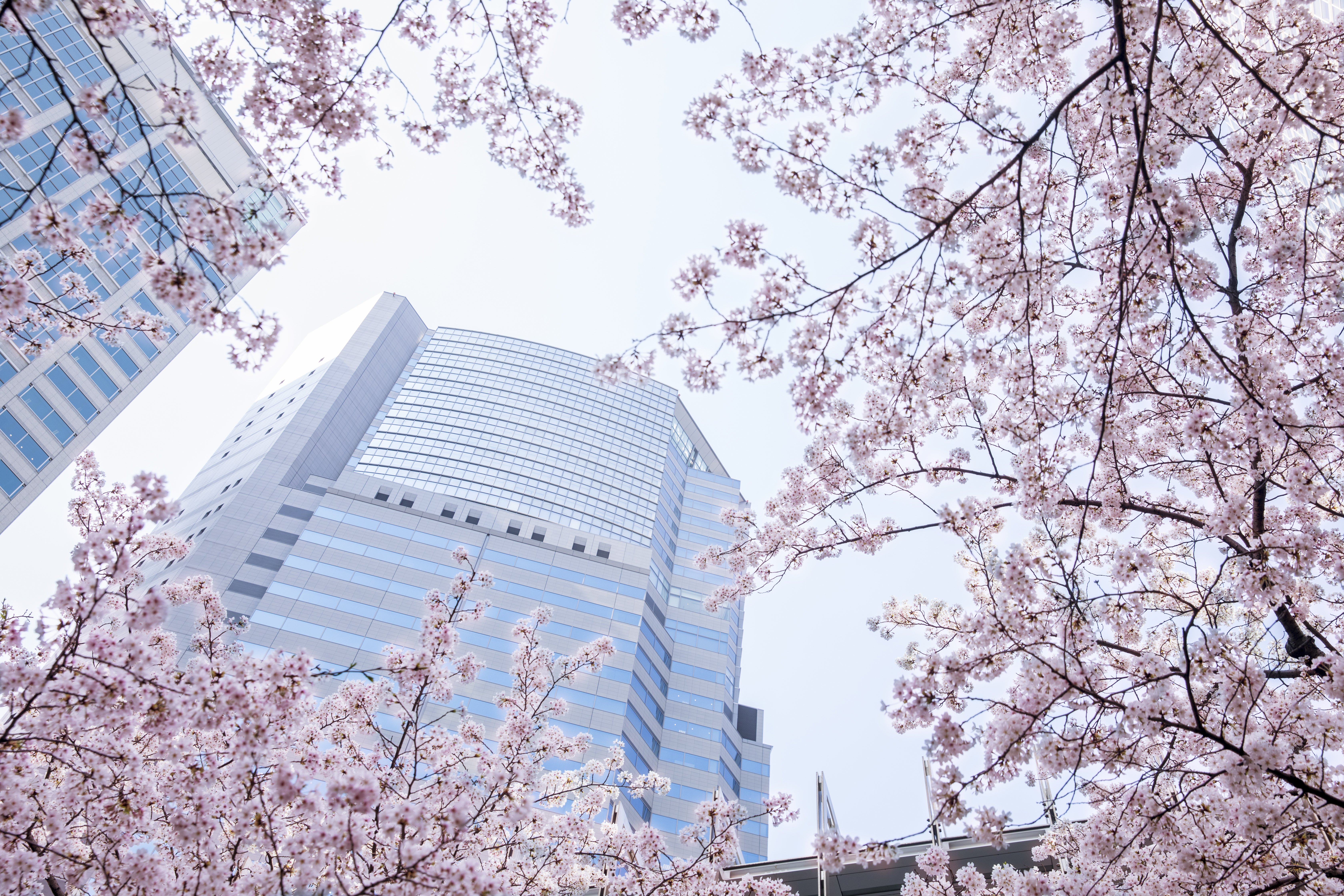 the strings by intercontinental tokyo an ihg hotel