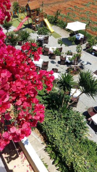 malia studios and apartments hotel