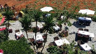 malia studios and apartments hotel