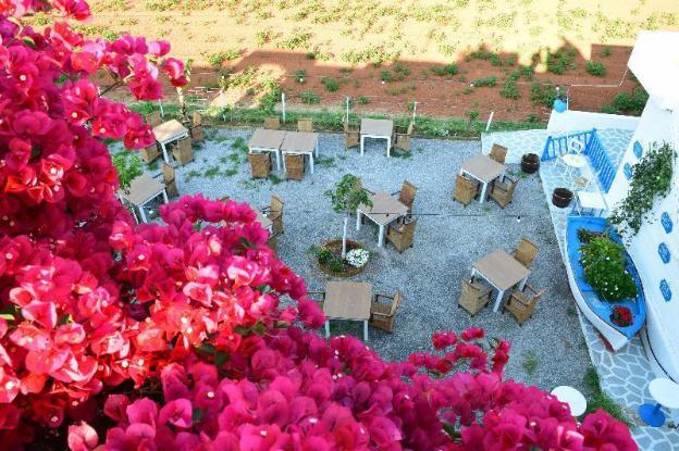 malia studios and apartments hotel