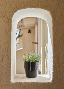 malia studios and apartments hotel