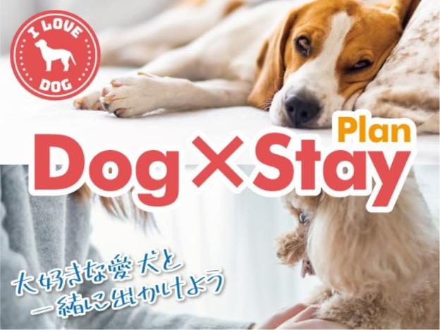 hotel livemax shinjuku kabukicho meijidori