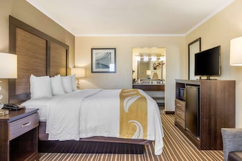 quality inn airport south