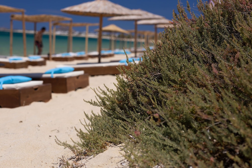 archon seaside retreat