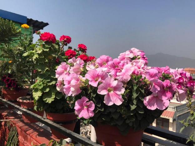 kathmandu