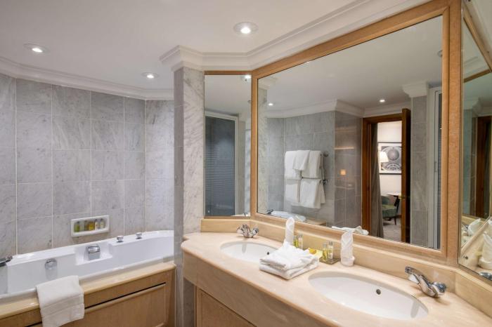hilton birmingham metropole