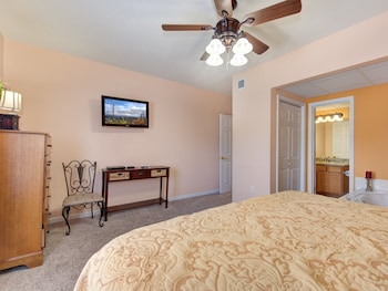 bear crossing by vtrips