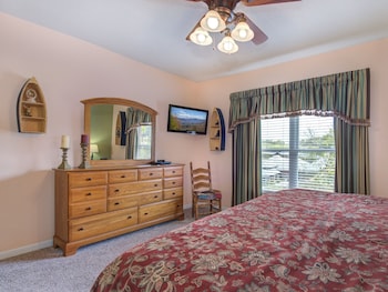 bear crossing by vtrips