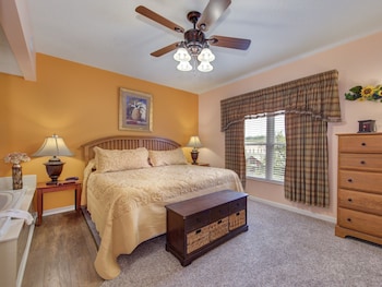 bear crossing by vtrips