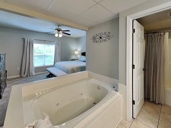 bear crossing by vtrips