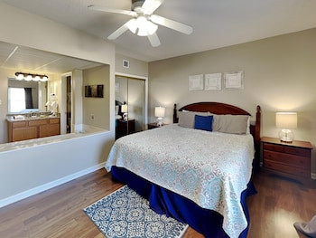 bear crossing by vtrips