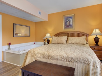 bear crossing by vtrips