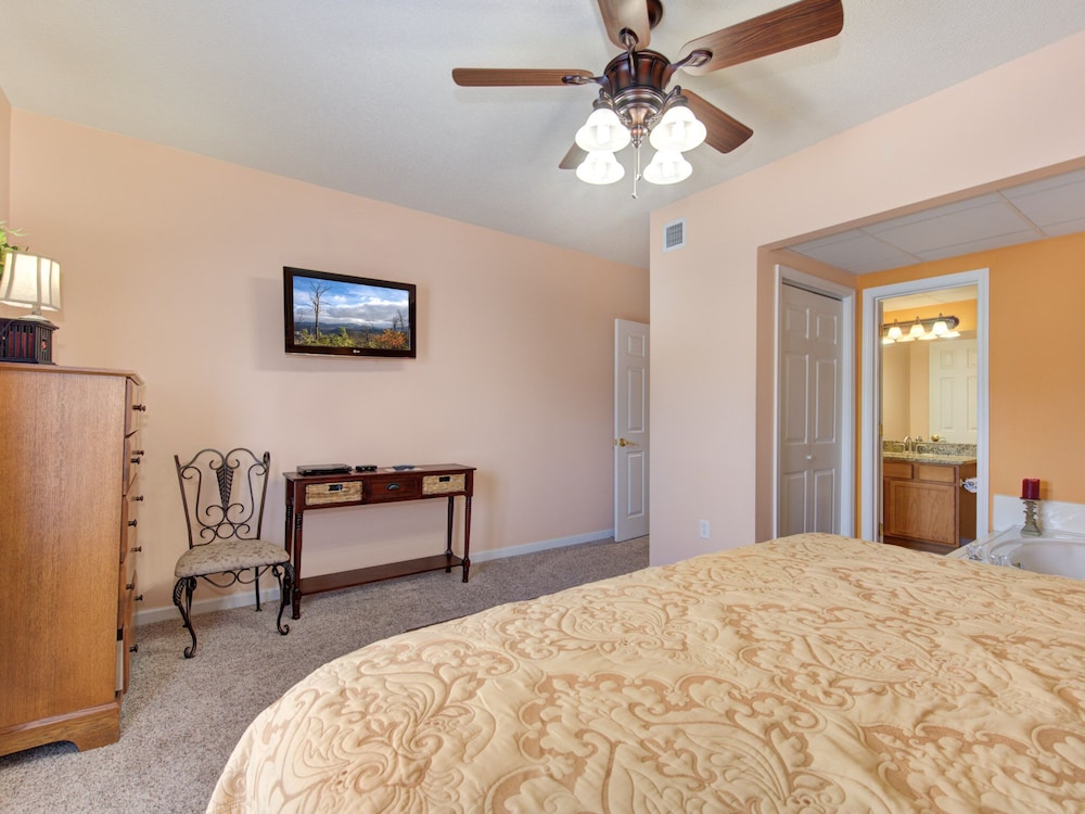 bear crossing by vtrips