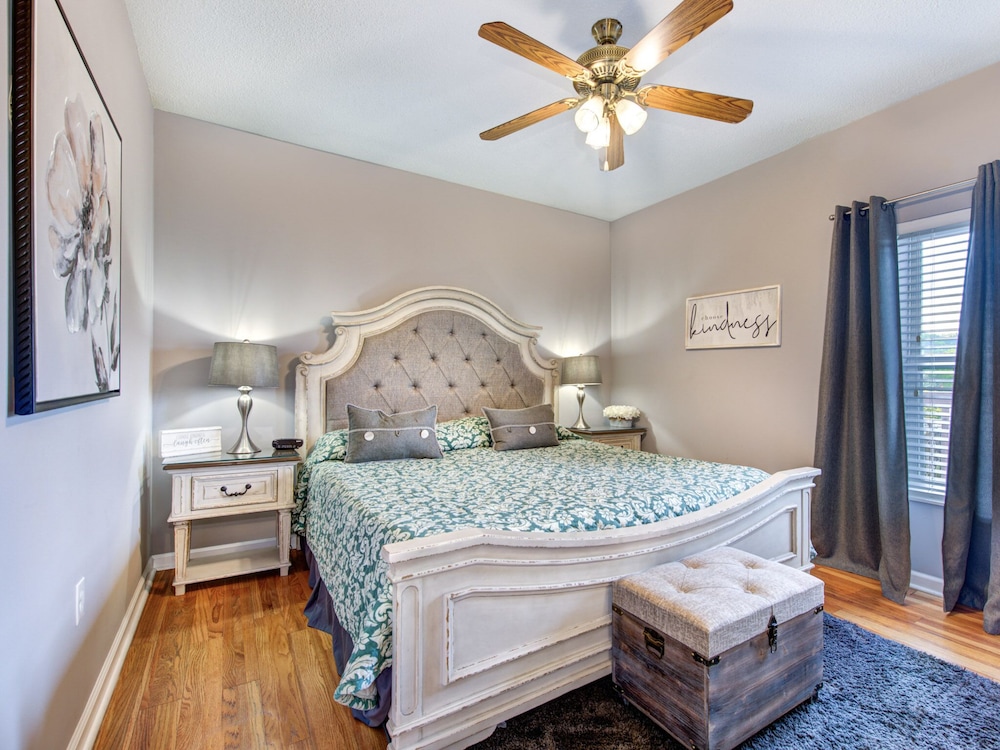 bear crossing by vtrips