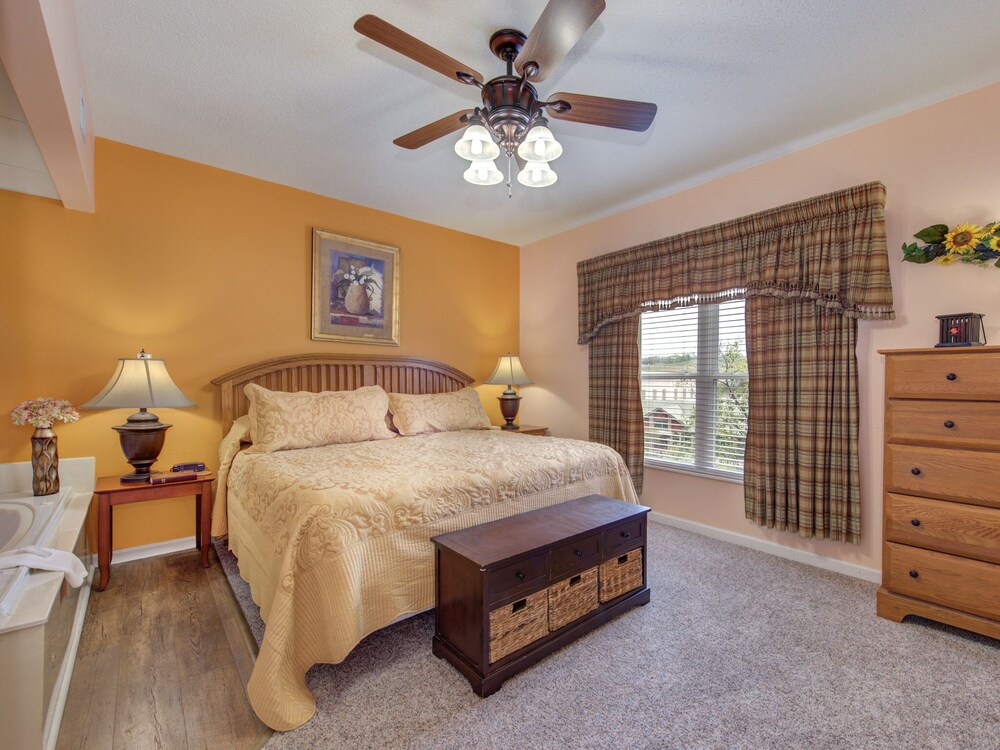 bear crossing by vtrips