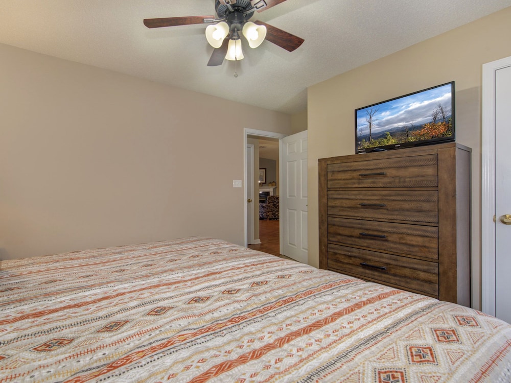 bear crossing by vtrips