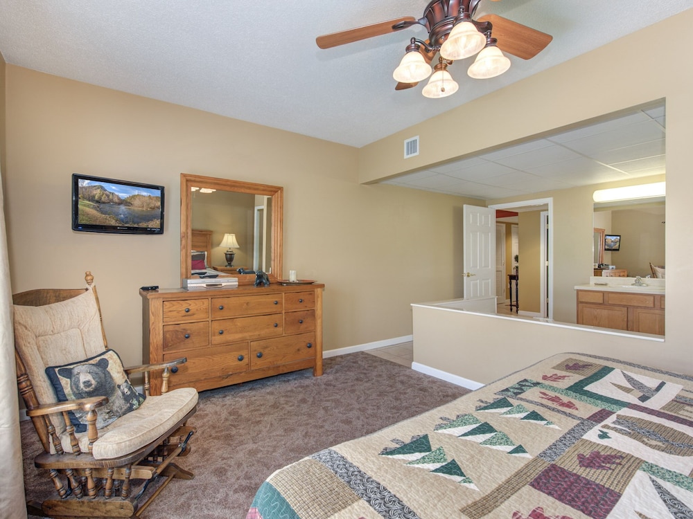 bear crossing by vtrips