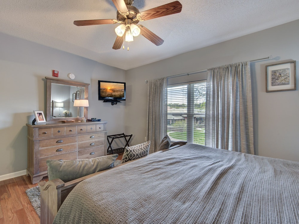 bear crossing by vtrips