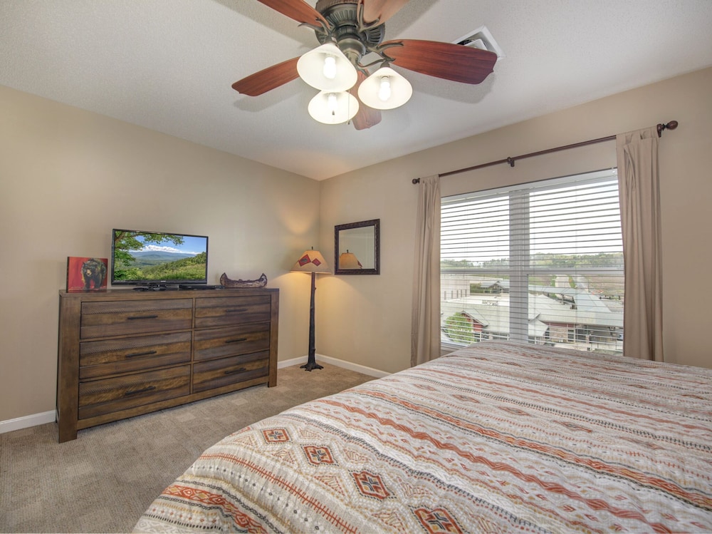 bear crossing by vtrips