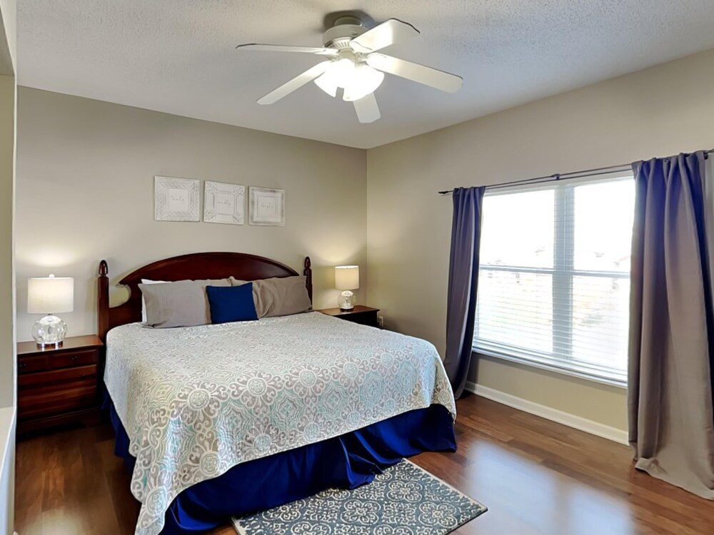 bear crossing by vtrips